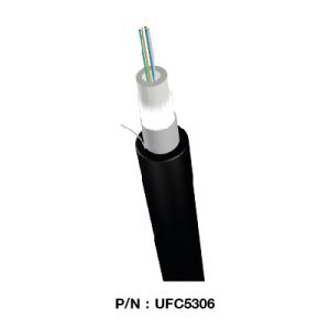UFC5306