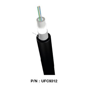 UFC9312