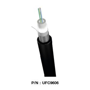 UFC9606