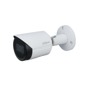 DH-IPC-HFW2431S-S-S2