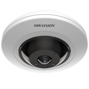 DS-2CD2955G0-IS(U)